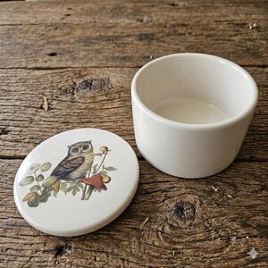 Whimsical Owl & Woodland Mushroom Ceramic Trinket Box